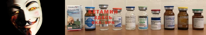 ECSTASY Новозыбков