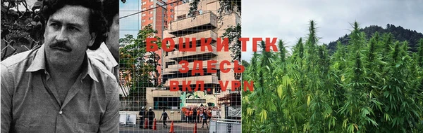 ECSTASY Новодвинск