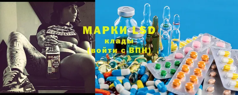 дарнет шоп  Колпашево  LSD-25 экстази кислота 