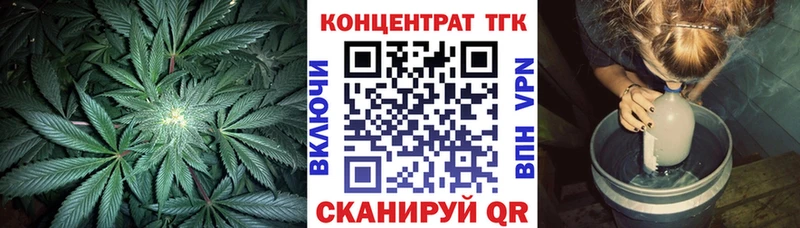 купить наркотики цена  гидра рабочий сайт  ТГК THC oil  Колпашево 