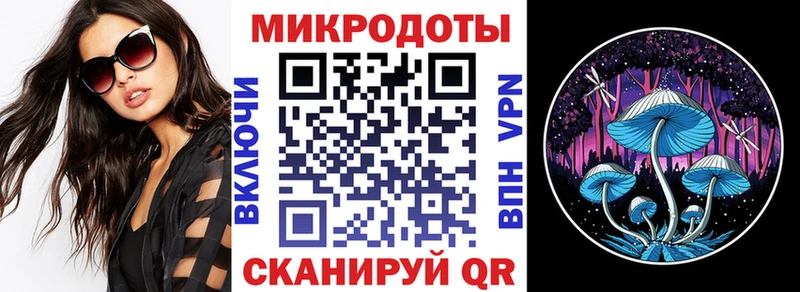Галлюциногенные грибы Psilocybine cubensis Колпашево